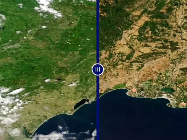 Satelity odhalily šokující vysychání Evropy: Vegetace zhnedla za týdny